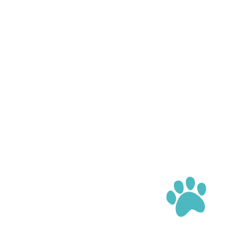 犬の病気 DOG　わんちゃんによくみられる病気を部位別に解説します。