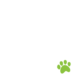 小動物(うさぎ)の病気 RABBIT　小動物(うさぎ)によくみられる病気を部位別に解説します。