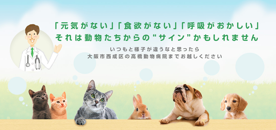 「元気がない」「食欲がない」「呼吸がおかしい」それは動物たちからの"サイン"かもしれません いつもと様子が違うなと思ったら 大阪市西成区の高橋動物病院までお越しください